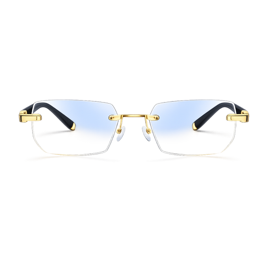 VisionPro™